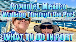 Cozumel Mexico  Puerta Maya amp International Cruise Terminals  What to Do on Your Day in Port [upl. by Freddi605]