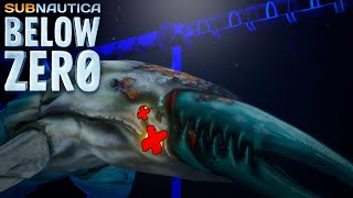 What will best kill a Void Chelicerate  Subnautica Below Zero Modded S1 Ep29 [upl. by Itsirk]