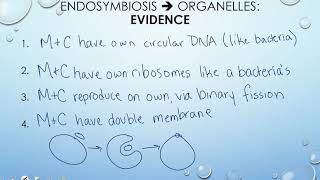 Protist Evolution  Classification Protists 23 [upl. by Idzik]