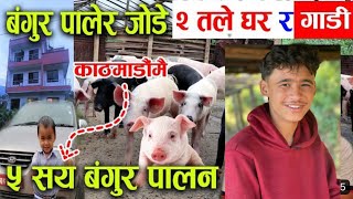 Pig Farming in Nepal village Village lifestyle [upl. by Eecal]