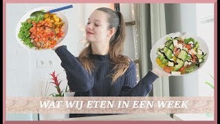 VEGAN amp VEGETARISCHE AVOND GERECHTEN  SAARTJE DE LEEUW [upl. by Alahcim]