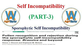 Sporophytic Self IncompatibilitySelf Incompatibility PART3 [upl. by Rehpotsirhcnhoj]