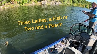 Three Ladies a Fish or Two and a Peach [upl. by Einapets]