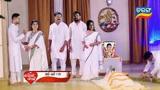 Tori Pain To Pain  23th Nov 2024  Episode Promo 483 review  Tarang TV  Odia serial [upl. by Ellerd602]