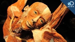 Body Worlds Donating Your Body to Science [upl. by Gnart]