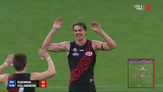 Joe Daniher Career Highlights [upl. by Enelkcaj748]