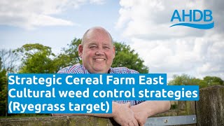 Strategic Cereal Farm East  Cultural Weed Control Strategies Ryegrass target  AHDB [upl. by Sacrod]