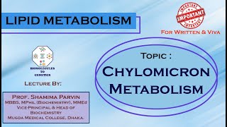 Chylomicron Metabolism  Lipoprotein Metabolism [upl. by Anirtik6]