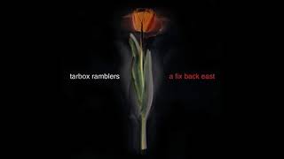 Tarbox Ramblers  Down South Blues [upl. by Nelyak]