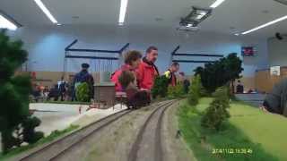 Video Fahrt auf der Segmentanlage Bhf Roding der Modellbahnfreunden Regental 2014 [upl. by Laerdna]