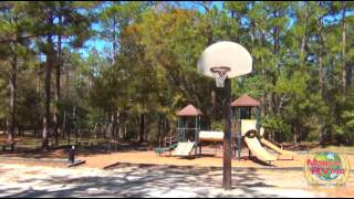 Highlands Hammock State Park Sebring Florida [upl. by Hammel]