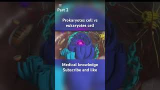 Prokaryotes cell vs eukaryotes cell biologyclass12 biology animation [upl. by Gwen]