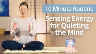 Sensing Energy for QUIETING THE MIND  10 Minute Daily Routines from Connect by Ilchi Lee [upl. by Hotze]