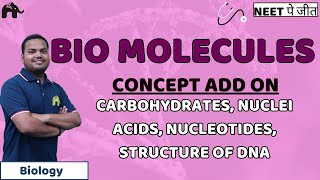 Biomolecules Class 11 Biology NEET  Carbohydrates Nuclei Acids Nucleotides Structure of DNA [upl. by Htesil]