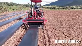 Bed Shaper Rotary Tiller Plastic Mulch Layer driven by tractor [upl. by Chien]