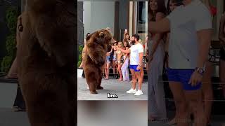 Man feeds Bear animals shorts [upl. by Niehaus]