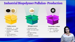 Pullulan Industrially Important Biopolymer Exopolysaccharide Structure amp Industrial Production [upl. by Ybrad884]