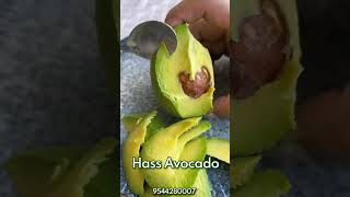 Hass Avocado tropicalfruit homeoffruitplants fruitcutting exoticfruitplants garden fruit [upl. by Kos]