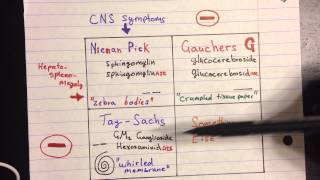 Lysosomal Storage Disease [upl. by Laureen238]