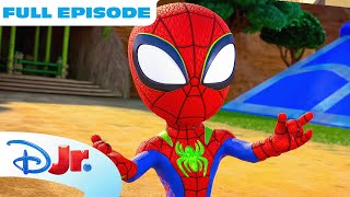 Marvels Spidey and his Amazing Friends Full Episode  Go DinoWebs Go  S3 E15  disneyjr [upl. by Yelroc99]