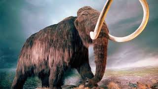 What did a woolly mammoth sound like [upl. by Ahsiruam]