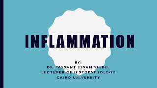 INFLAMMATION 1 [upl. by Mckeon951]