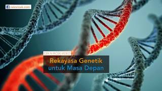 Rekayasa GENETIKA Untuk Masa Depan [upl. by Loss356]