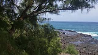 Spouting Horn  Kauai Hawaii [upl. by Nnylyahs]