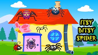 Itsy Bitsy Spider 2024 nurseryrhymes [upl. by Furtek]