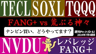 【重力の神々】FANG vs レバレッジFANG NVDU SOXL TECL TQQQ！授かるのは恵みか神罰か！？【2024年7月4週目】 [upl. by Acila]