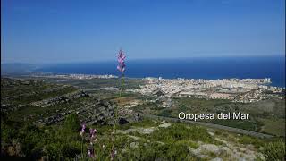 Oropesa del Mar Castellon Spanien [upl. by Esilram]