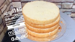 എല്ലാ കേക്കിനും പറ്റുന്ന വാനില സ്പഞ്ച് കേക്ക് vanillaspongecake vanillacake [upl. by Hubie]