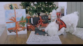 Chris Isaak  quotAlmost Christmasquot Official Video [upl. by Hniv]