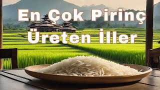 En Çok Çeltik Üreten 10 İl  Türkiyede Çeltik ve Pirinç Nerelerde Üretiliyor [upl. by Annemarie679]