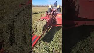 New Holland 273 Square baler 770 case Second cut hay [upl. by Eittah]