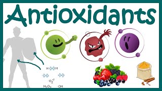 Antioxidants  What Are Antioxidants   Antioxidants Benefits  Free Radicals and ROS scavenging [upl. by Refinnaej]