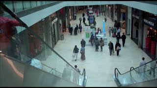 Lost in the Mall False Memory [upl. by Pruter]