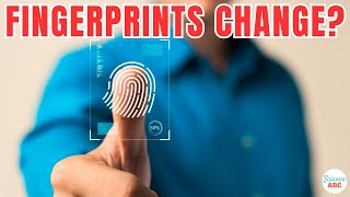 Do Fingerprints Change Is It Possible to Alter Fingerprints [upl. by Weig]