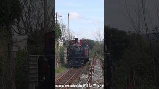 Ffestiniog Railway 2024 David Lloyd George steams towards Minffordd station Full video ☝🏿 [upl. by Raji904]