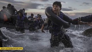 Premios Pulitzer 2016 Fotografía Periodística [upl. by Corvin]