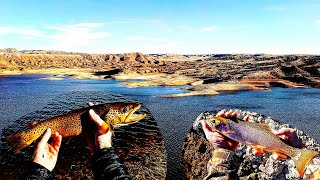 Expedition Alcova  Fishing Miles of Shoreline For Huge Trout and Walleye Finding Lost Treasures [upl. by Ajram530]