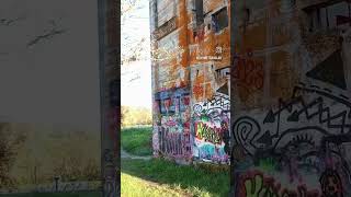 exploring vernonia Oregon shorts explore [upl. by Viking]