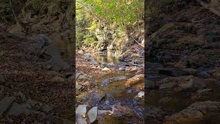 Peaceful stream next to Rocky outcrops with intense background music naturecreek [upl. by Eecart633]