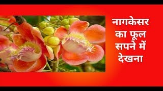 नागकेसर का फूल सपने में देखना  sapne me nagkesar ka phool dekhna [upl. by Nolrac]