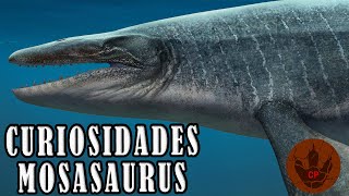 CURIOSIDADES DEL MOSASAURUS [upl. by Eelame]