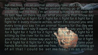 Sega Bodega  Set Me Free Im an Animal Lyric Video [upl. by Ettenowtna]