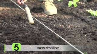 Comment bien semer  Radis salades et fraises [upl. by Niarbo85]