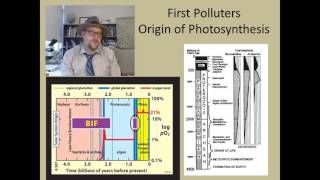 What are some of the problems in studying fossil plants [upl. by Nolaj]