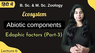 Ecosystem  Abiotic components Part3  EDAPHIC FACTORS  B Sc amp M Sc  Zoology [upl. by Yedoc]