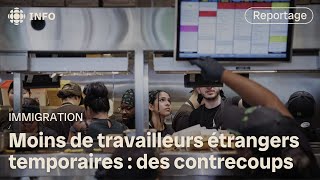 Travailleurs étrangers  quels contrecoups sur la chaîne d’approvisionnement alimentaire [upl. by Adnawak996]